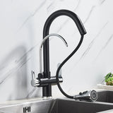 PureFlow Pro Kitchen Mixer Tap – Black Pull-Out Faucet with Filtered Water System | 360° Swivel Sink Mixer