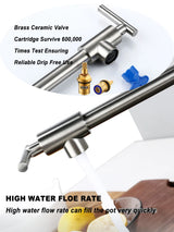 PivotPro Wall-Mount Pot Filler Faucet – Folding Brass Kitchen Faucet | Extendable Swing Arm | Brushed Chrome Cold Water Kitchen Tap