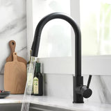 SilverGlide Pull-Out Kitchen Mixer Tap – Modern Silver Sink Faucet | Flexible Hot & Cold Spray Mixer