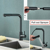 Vantique NoirFlex Pull-Out Kitchen Tap – Matte Black Stainless Steel Mixer with Dual Spray & 360° Swivel