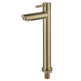 Steelhaven Mono Cold Basin Tap – Stainless Steel Single-Lever Sink Faucet | Compact Commercial & Utility Design