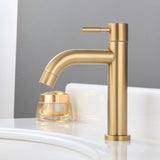 Steelhaven Mono Cold Basin Tap – Stainless Steel Single-Lever Sink Faucet | Compact Commercial & Utility Design